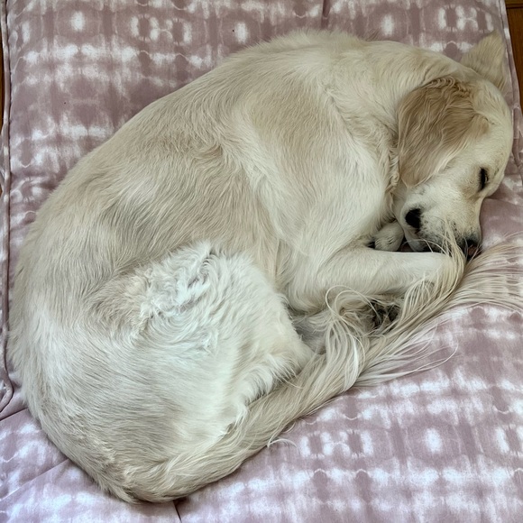 Meet your Posher, Heather - Picture 1 of 5